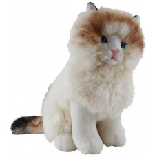 Ragdoll Cat Sitting Plush Cat